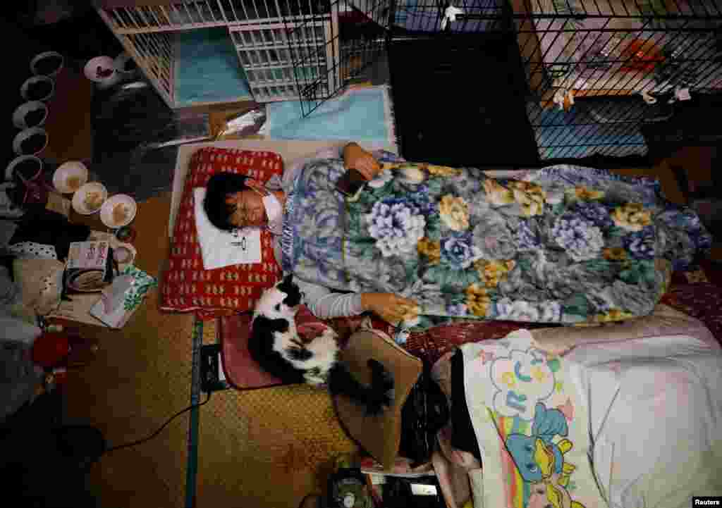 Kato Szakae Varázs nevű macskája mellett alszik Namie-i otthonában. A cica macska-leukémiában szenved, Kato 5 éve fogadta be.
