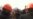 In The Shadow Of Lenin, Two Ukraines Face Off In Kharkiv