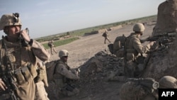 U.S. Marines in a poppy-growing area in Marjah in Helmand Province