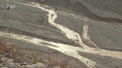 Сокинони Шугнов аз бекорӣ тило мешӯянд.