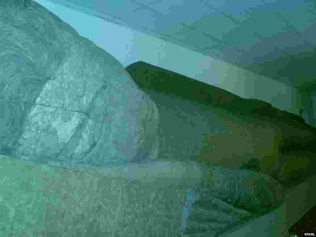 Сайре дар осорхонаҳои кишвар #120