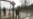 Belarus To Close Land Borders Over COVID-19; Opposition Says Move Aimed At Activists