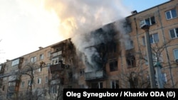 илустрација