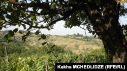 იმერეთი