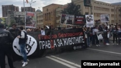 Pamje nga protesta e djeshme kundër helmimit të qenve endacakë