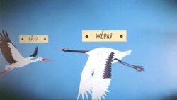 Мова са Свабодай: Птушкі