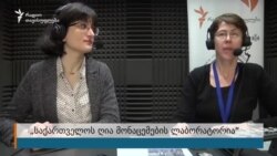 თეონა ტურაშვილი: "ახლა შესაძლებელია ვებგვერდიდან გადმოიწეროთ ნებისმიერი მონაცემთა ბაზა"
