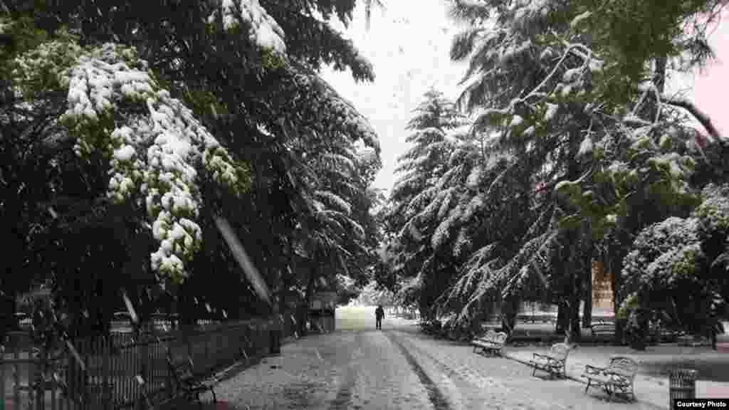 ფოტო: სერა ძნელაძე