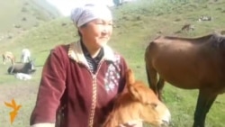 Сезон кумыса на джайлоо