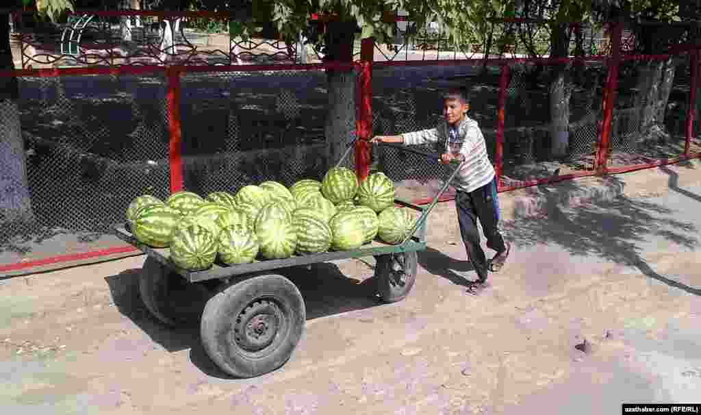 Garpyz daşap barýan oglan