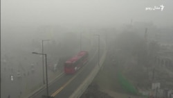 پاکستان کې فعالان د هوا ککړتیا مخنیوي په موخه هلې ځلې کوي