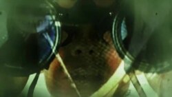 انتخابات د ” چپه دوربین ” له نظره