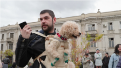 В Грузии протестуют против госпрограммы отлова бродячих собак