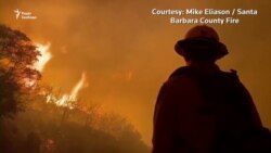 Пожежі рівня австралійських можуть стати звичайними по всій планеті – вчені (відео)