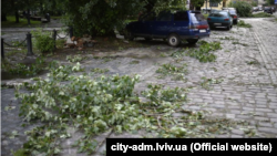 За попередньою інформацією, дерево впало через негоду