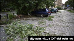 На заході України в кількох регіонах через негоду падали дерева