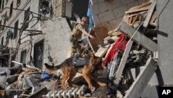 Рятувальник із собакою шукає постраждалих у житловому будинку, який пошкоджений від російської авіабомби, у Харкові, 22 червня 2024 року