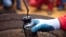 A worker collects a crude oil sample at an oil well operated by Venezuela's state oil company PDVSA. (file photo)