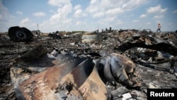 Место крушения самолета «Малайзийских авиалиний» под Донецком. 23 июля 2014 года