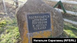 В.Касьцюкі. Любаньскі р-н. Аўтар: Натальля Сарагавец