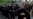 Facebook 'Bans' Ukrainian Far-Right Group Over 'Hate Speech' -- But Getting Rid Of It Isn't Easy