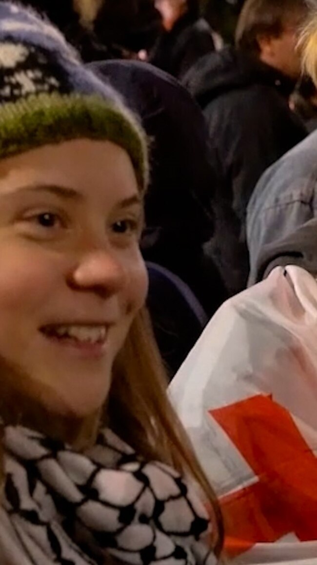Climate Activist Thunberg Joins Georgian Election Protest (Video)