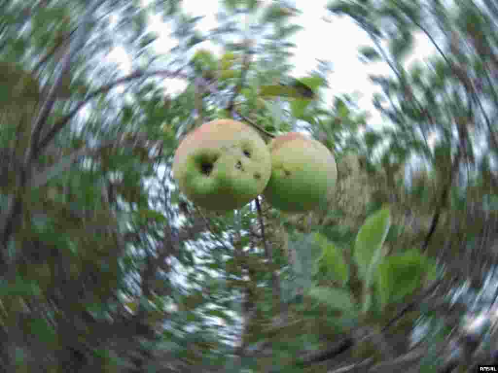 Дастархони мардуми Хатлон #17