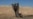 Part of a missile protrudes from the ground, from the ground, following strikes from Iran, in the central Israeli-occupied West Bank