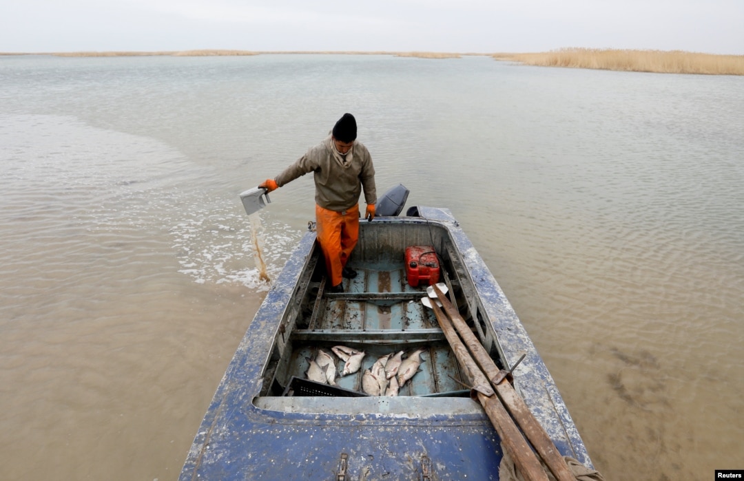 Әрекеттегі мүше Екі кисканың порно фотосы