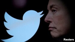 Лягатып сацыяльнай сеткі Twitter і яе цяперашні ўладальнік Ілан Маск