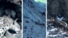 Thumbnail for snow leopard in Kyrgyzstan video