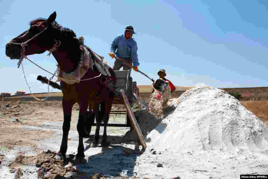 Göldən yığılmış duzu qurutmaq üçün at arabası ilə sahilə tökürlər.