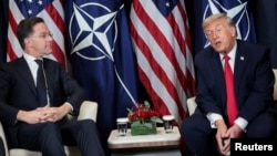 Mark Rutte vı Donald Tramp