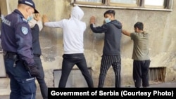 Serbiya polisinin aşkarladığı "qanunsuz miqrantlar"