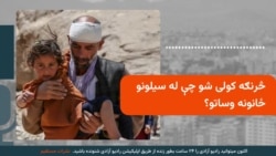 څرنګه کولی شو چې له سیلونو ځانونه وساتو؟