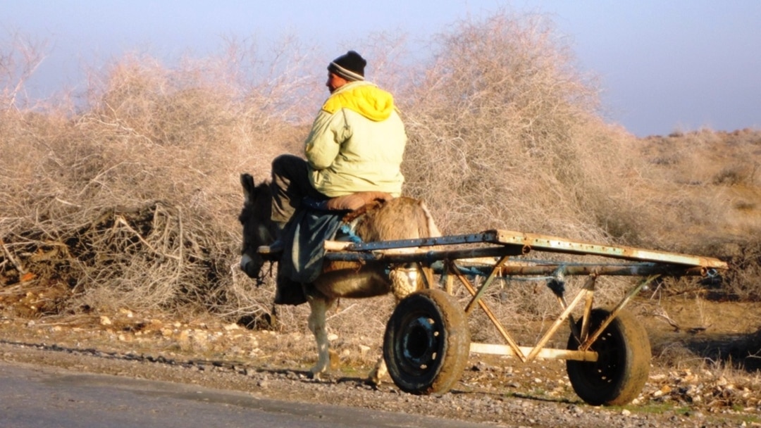 Қара көйлек киген сексуалды қыз
