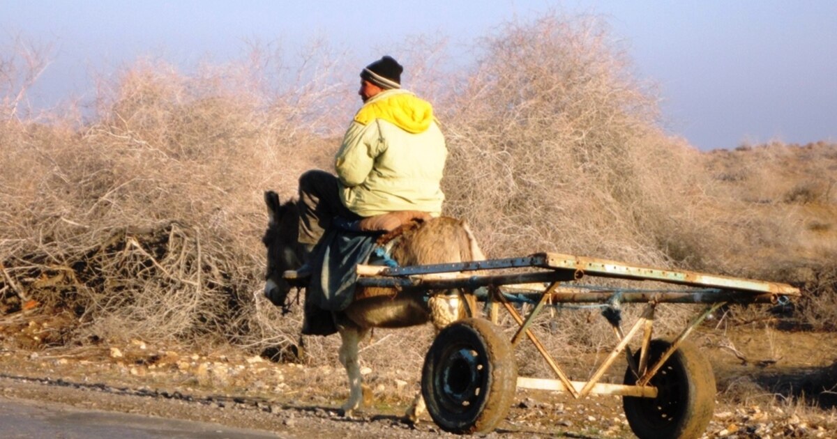 Мен он кішкентай үндістер порно фильмін іздеп жүрмін