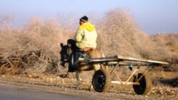 Tegelek stol: "Baýlar" we "garyplar" ýurt üçin töwekgellikmi?