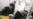 Turkmenistan Clips Wings Of Citizens Fleeing Economic Woes