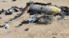 A picture released by the official website of Iran's Revolutionary Guards on August 25 shows an alleged Israeli drone that was shot down above the Natanz uranium-enrichment site. 