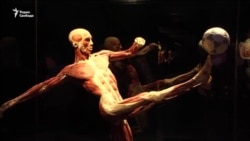 Искусство препарированных тел. Кого оскорбляет анатомическая выставка на ВДНХ?