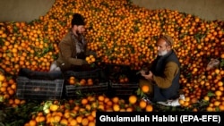 عکس له ارشیفه