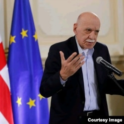 ალიკო ცინცაძე, პროფესორი