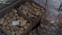 Քիչ ցանում ենք, շատ ուտում. կարտոֆիլի բերքը նվազում է, պահանջարկն ու գինը՝ աճում