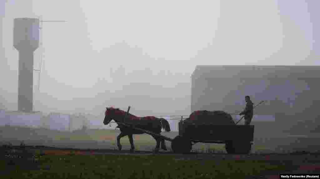 A man rides in a horse-drawn carriage on a foggy autumn day near the village of Krutilavichy, Belarus. (Reuters/Vasily Fedosenko)