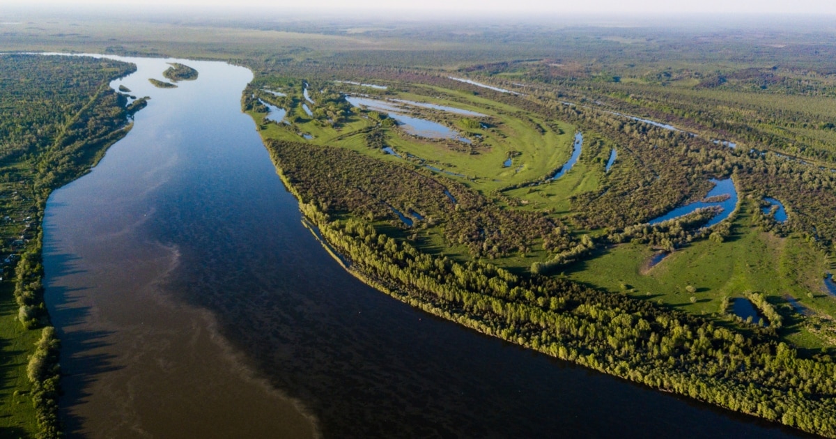 Кіреберістегі куннилингустың порнофотосуреттері