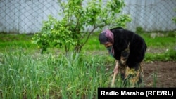 Chechnya --Woman in the garden, 2016