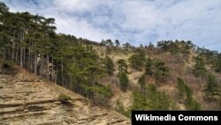 Иллюстрационное фото: Ялтинский заповедник
