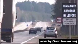 Сыстэма папярэджаньня аварыяў з удзелам дзікіх жывёлаў у Рэчыцкім раёне Гомельскай вобласьці