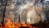 A wildfire in Russia